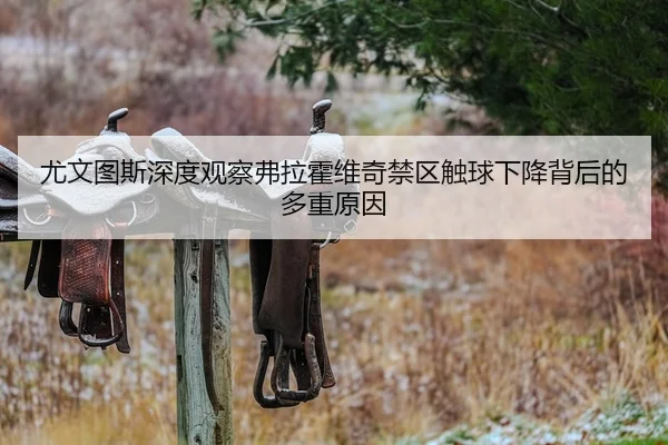 尤文图斯深度观察弗拉霍维奇禁区触球下降背后的多重原因